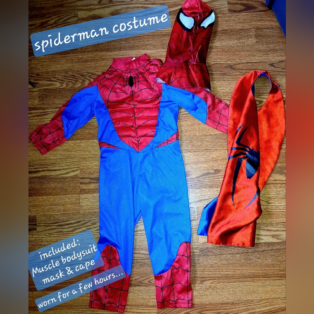 Disney Red and Blue Superhero Costume for Kids